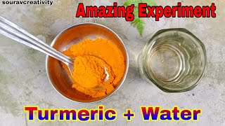 2 Easy Science Experiment To Do At Home || School Science Experiments || turmeric + water=?