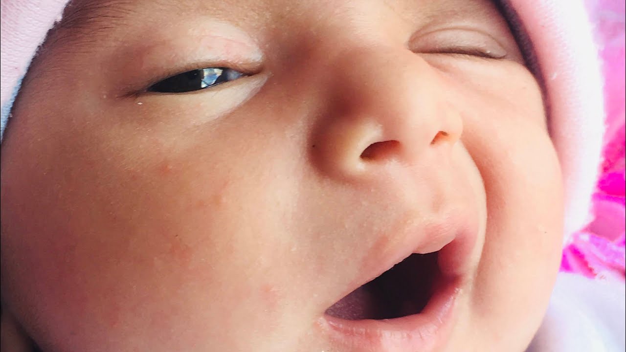 Funny Videos Cute Baby Shorts Tiktok Youtubeshorts Youtube