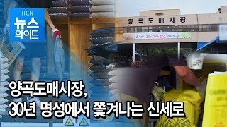 [기획취재] 양곡도매시장, 30년 명성에서 쫓겨나는 신세로 / 서초 현대HCN