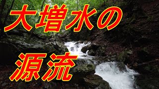 大雨の渓で尺アマゴ vol 1