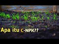 C NPK , Pupuk yang paling dibutuhkan, Ilmu pertanian Amerika Serikat bagian 3 (akhir)