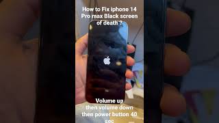 How to fix iphone 14 pro max Black screen of death?