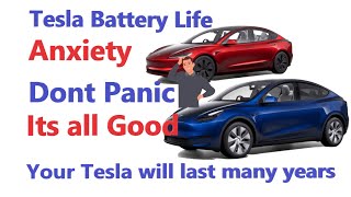 Tesla - Battery Life Anxiety