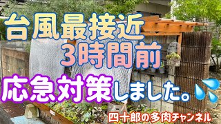 【多肉植物】【ガーデニング】🌪台風最接近３時間前　応急対策しました。💦