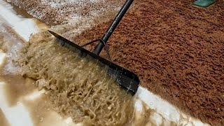 ASMR Scraping compilation of Brown Carpets