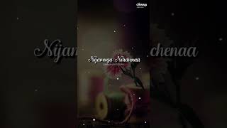 #milesoflove Teliyade Teliyade Song WhatsApp Status Lyrics #chinnav #shorts #sidsriram