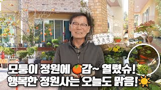 [ SUB ] 모퉁이 정원 A happy corner garden | 정원의 발견 Wonders of Garden | KBS제주20231208 방송