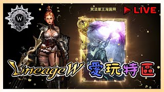 【天堂W】今天晚上抽5組序號 ! 再合金娃 是不是該給了