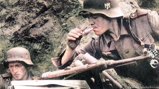 WW2: ''Waffen SS'' (Intense Combat Footage)