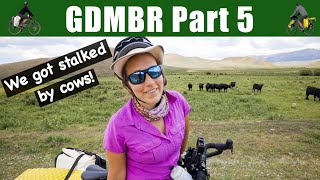 GREAT DIVIDE MOUNTAIN BIKE ROUTE | Butte to Lima, Montana | Fleecer Ridge (PART 5)