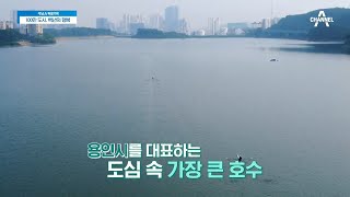 농업용 저수지를 힐링을 위한 호수로?! 용인시 '기흥호수공원' | 100만 도시, 백년의 행복 1 회