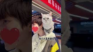 小猫咪真的能听懂我说话 #萌宠 #宠物天团#年轻人养宠图鉴