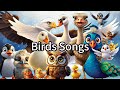 Birds Songs X 15, Little Robin, Little Chick, Little Duck and More (Nursery Rhymes & Kids Songs)