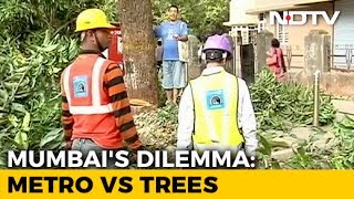 Tree Cutting For Metro Begins In Mumbai, Citizens Divided On The Environmental Cost