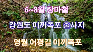 6~8월 장마철 강원도 이끼폭포 출사지(영월 어평길 이끼폭포)