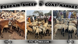 Pebbair goat market update