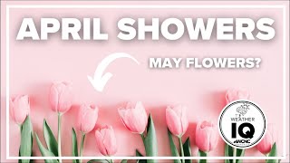 Do April showers actually bring May Flowers?