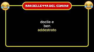 Questa coppia non ha mai litigato in 25 anni... | Barzellette divertenti #barzellettedivertenti