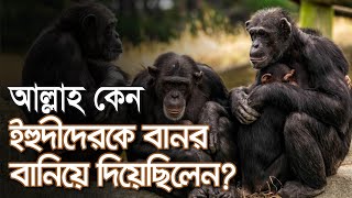 যে অপরাধে বা ন র হয়ে গিয়েছিল ই হু দী রা | দাউদ নবীর ঘটনা