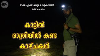 Vlog No.2- Night Walk in the Jungle / കാട്ടിൽ രാത്രിയിൽ കണ്ട കാഴ്ചകൾ / Thattekkad Bird Sanctuary