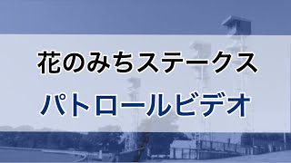 花のみちステークス　2020  パトロールビデオ　(ハギノアトラス)