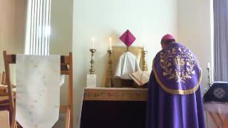 Dominica in Palmis: Blessing of Palms \u0026 Mass