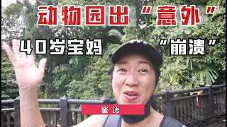 40岁宝妈带娃去新加坡动物园，刚到地方遭遇“意外”！