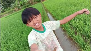 Petualang cilik ep 15, Mantap!! hari ini bisa mancing belut bosqq,lokasi nya bikin betah mancing😱