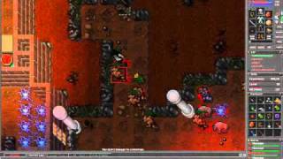 Tibia- Rookgaard   Chesse kills Apprentice Sheng and gets a good loot!