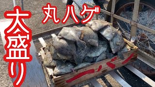 【漁師】大盛り丸ハゲをリヤカー（笑）箕島漁港の様子