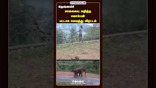 சாலையை மறித்த கொம்பன்  பட்டாசு வெடித்து விரட்டல்