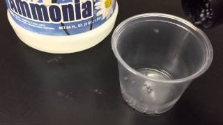 How to make exploding NITROGEN TRIIODIDE (NI3)