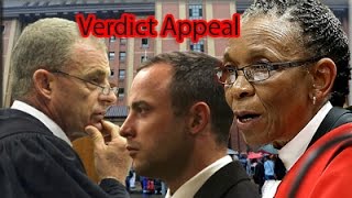 Oscar Pistorius verdict appeal: 9 December 2014