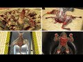 TORTURE ALL MUTATED ANIMALS ZOOCHOSIS & ZOONOMALY in Garry's Mod