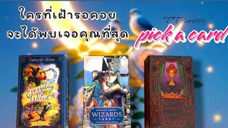 🍀pick a card 🍀ใครที่เฝ้ารอคอยจะได้พบได้เจอคุณที่สุด#timeless #tarot #ดูดวง