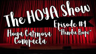 THE HOYA SHOW!  EPISODE 4 -- THE HINDU ROPE (HOYA CARNOSA COMPACTA)
