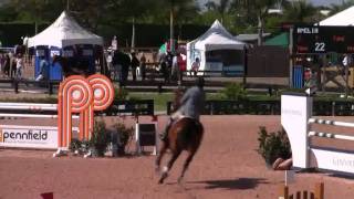 Video of AMELIA ridden by ELIZABETH KIRBY from ShowNet!