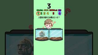 【人面魚ゲーム】人面魚が隠れた水槽はどっち？ #クイズ #ゲーム #暇つぶし