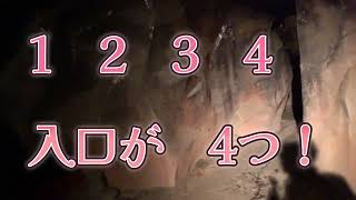 とても楽しかった日光江戸村❣