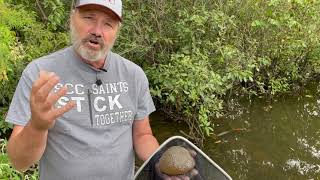 Science In Seconds: Magnificent Bryozoan