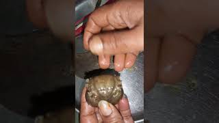 Crab Cleaning, ഞണ്ട് വൃത്തിയാക്കാൻ വേഗം പഠിക്കാം, അറിയാത്തവർക്കായിട്ടാണെ 🙏