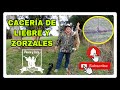 CAZA DE LIEBRE Y ZORZALES CON PCP BROCOCK