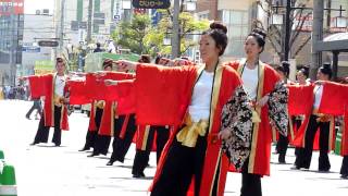 関西福祉大学　天舞　2010 第12回よさこい 踊っこまつり