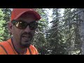 blue grouse wyoming day 1 the journey within a bird hunter s diary mark v peterson