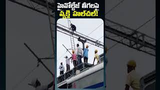 Man Create Ruckus on High Voltage Electricity Lines in Maharashtra