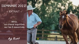 [SEMINAIRE 2022] Extrait : Whiz, un cheval équilibré sur les 6 essentiels