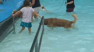 greenbelt pooch plunge 3