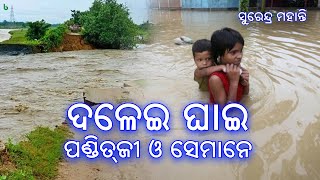 dalei ghai panditji o semane | surendra mohanty | odia sahitya | odia story #shrutisahitya