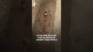 Peru: 600-Year-Old Burial Discovered With Sacrificial Remains Of Children | Subscribe to Firstpost