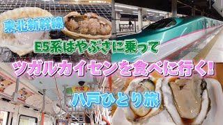 【八戸女ひとり旅1日目】E5系はやぶさに乗ってツガルカイセンを食べに行く！青森/八戸グルメ/女ひとり旅/ドーミーイン本八戸